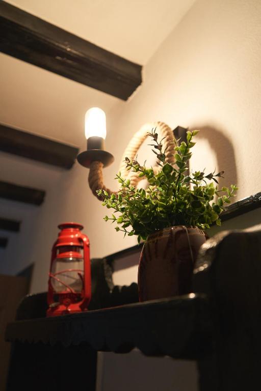 Fotografie z fotogalerie ubytování Casa Sofia v destinaci Borsa