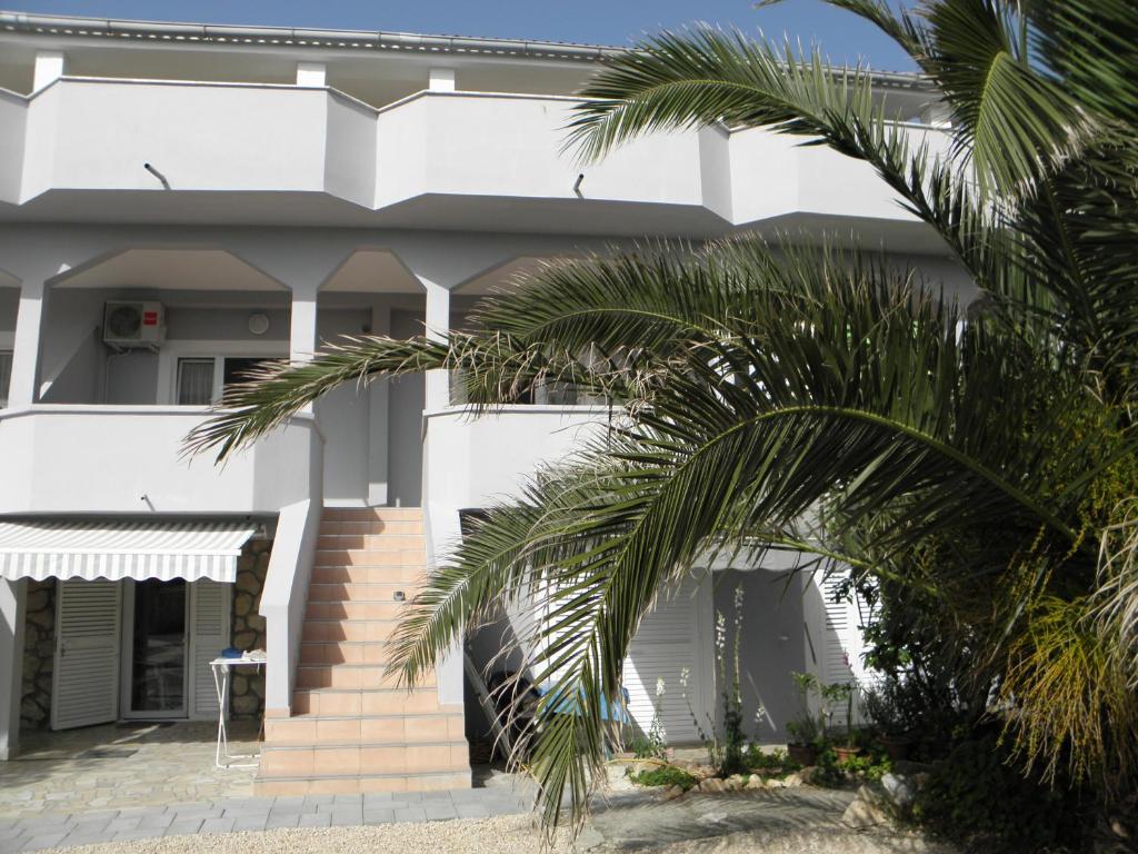 ein weißes Haus mit einer Palme davor in der Unterkunft Apartments Babić in Novalja