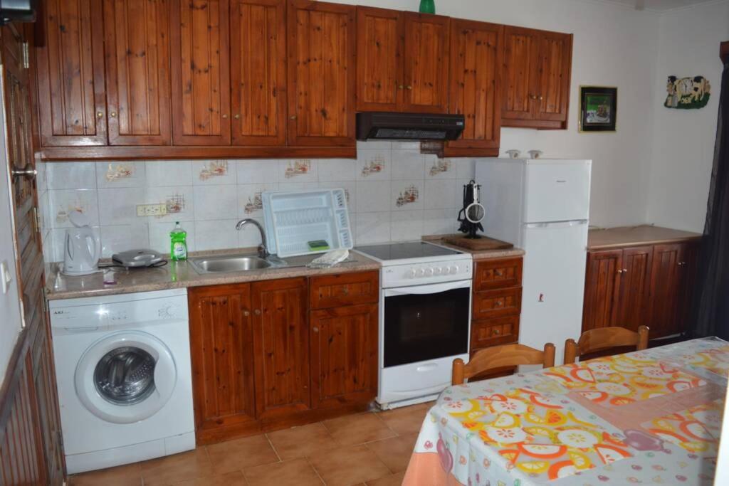 een keuken met een wastafel en een wasmachine bij Apartment in Afiartis I in Karpathos