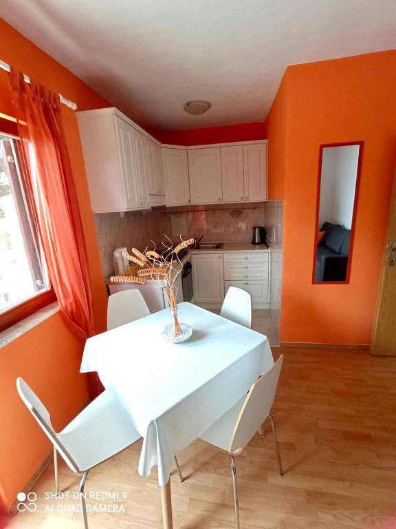 Kuchyňa alebo kuchynka v ubytovaní Apartment Bartol with Free Bikes and Great Local Food