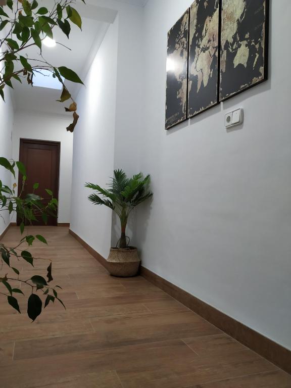 Hotel El Molino, Osuna – atnaujintos 2023 m. kainos