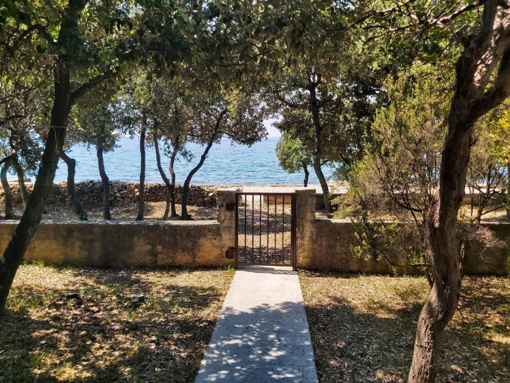 a gate leading to the ocean through trees at Petrcane house in Petrcane