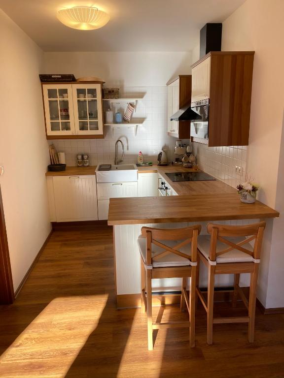 Kuchyň nebo kuchyňský kout v ubytování Family Apartment Tále