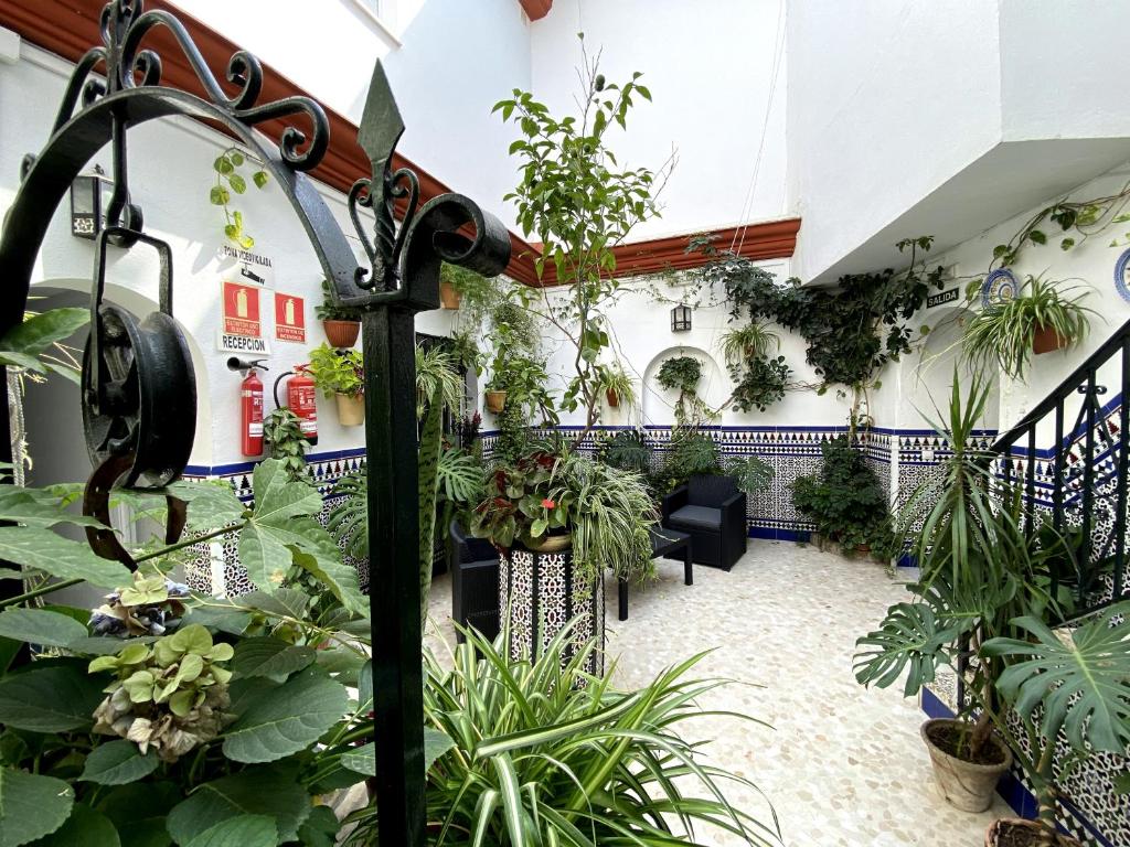 un jardin intérieur avec des plantes dans un bâtiment dans l'établissement Hostal Mellizo, à Lebrija