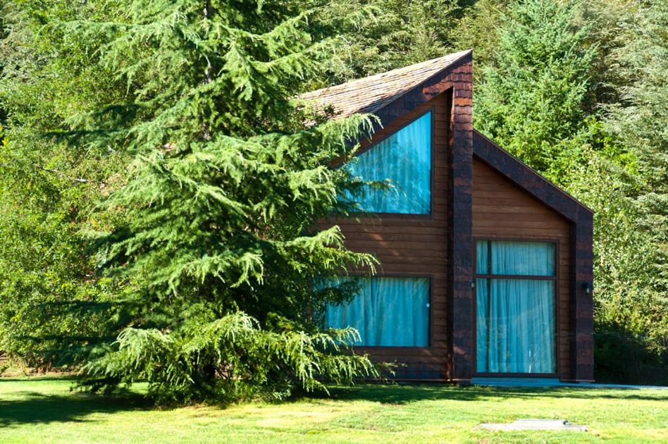 uma casa com uma árvore em frente em Cabañas Patagonia Lefun em Pucón