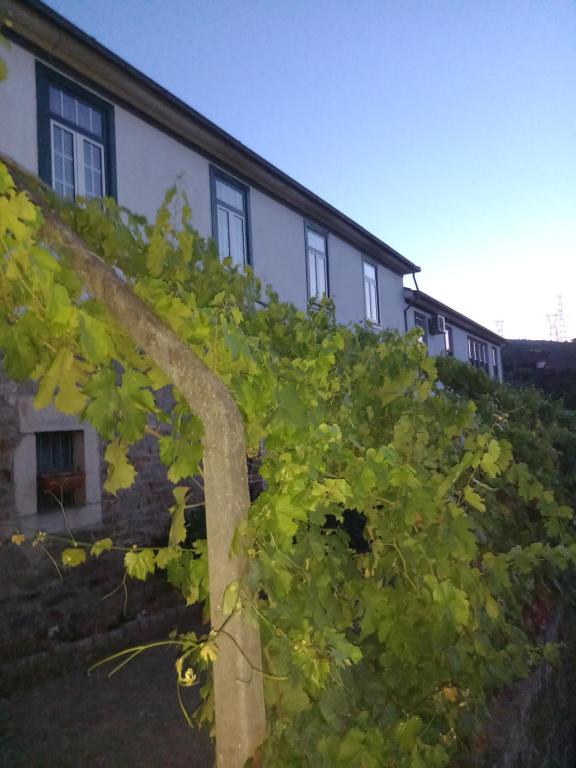 Zahrada ubytování Quinta Casa Do Quintal