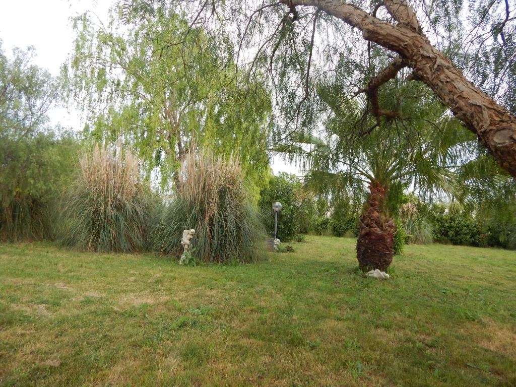 Kép House 8 With 2 Bedrooms In The Countryside Of Rome szállásáról Marina di Cerveteri városában a galériában