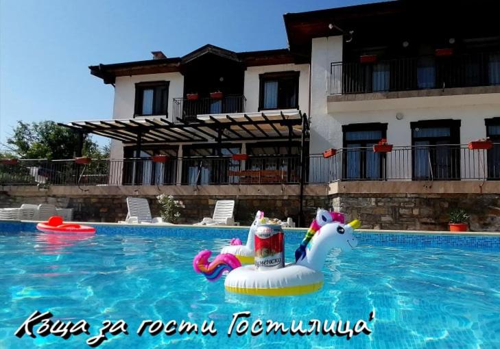 una piscina con un flotador de unicornios en una piscina en Guesthouse Gostilitsa, en Gostilitsa