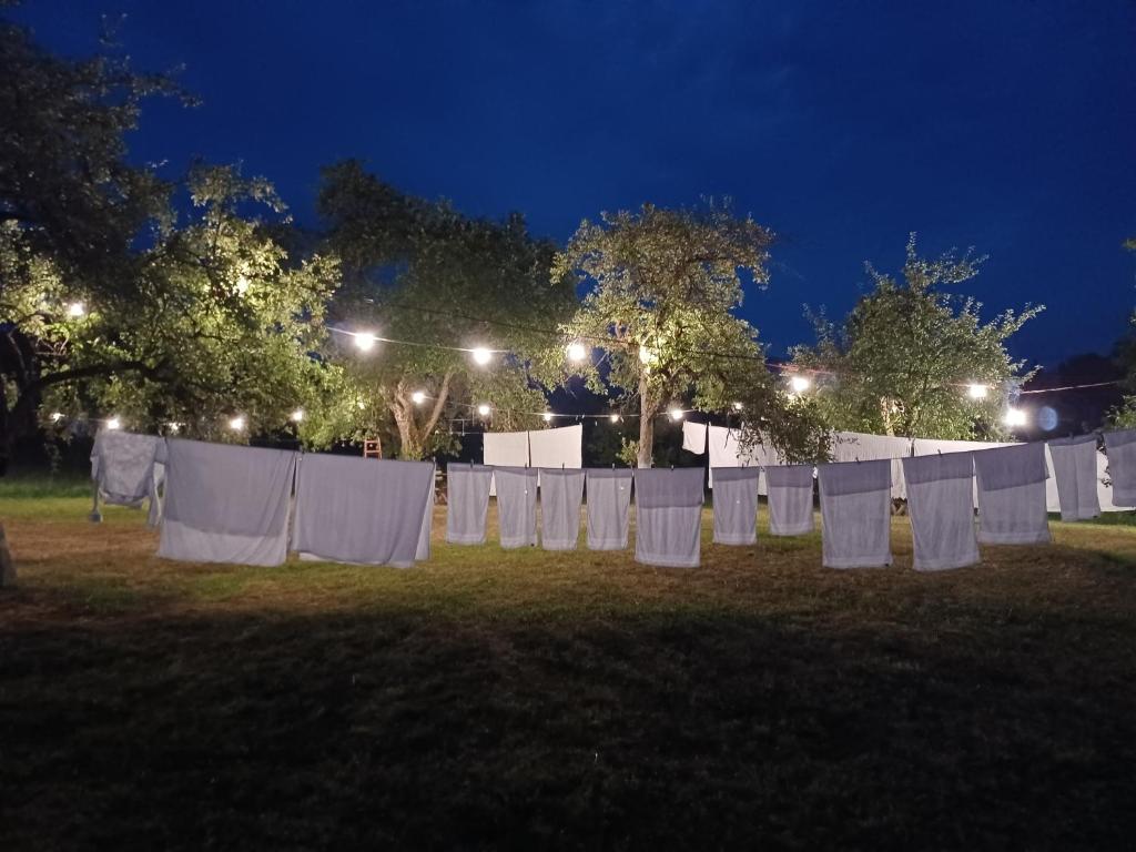 Zahrada ubytování Pensiunea Agroturistica Casa Pribegilor