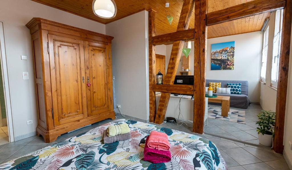 Le Schwendala - Quartier Petite Venise – photo 25