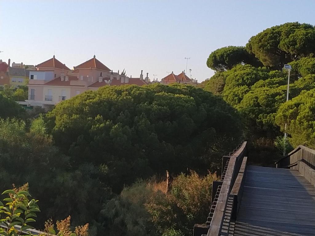Príroda v okolí apartmánu