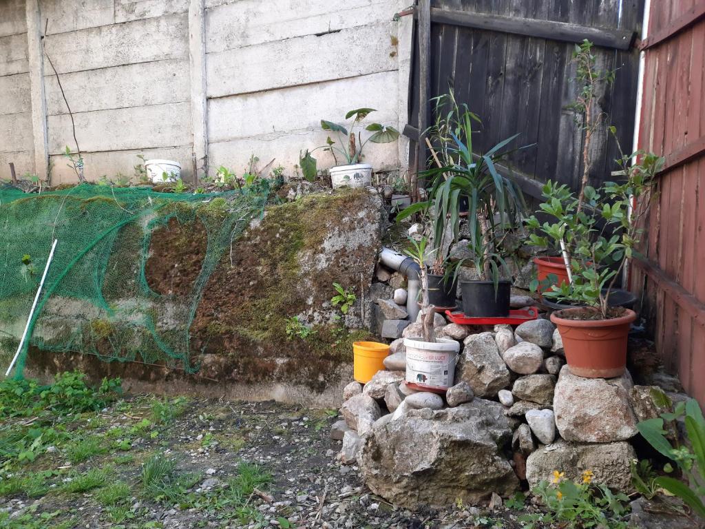 a garden with potted plants and rocks and a fence at Casa Adrian CAMERE CENTRU VECHI in Braşov