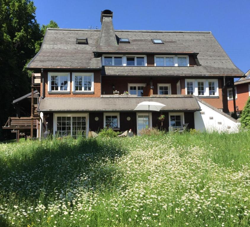 una casa su una collina con un campo di fiori di Schwarzwald Landhaus Leonore mit Alpenblick, Erdgeschosswohnung mit großer Gartenterrasse und Parkplatz a Ühlingen-Birkendorf