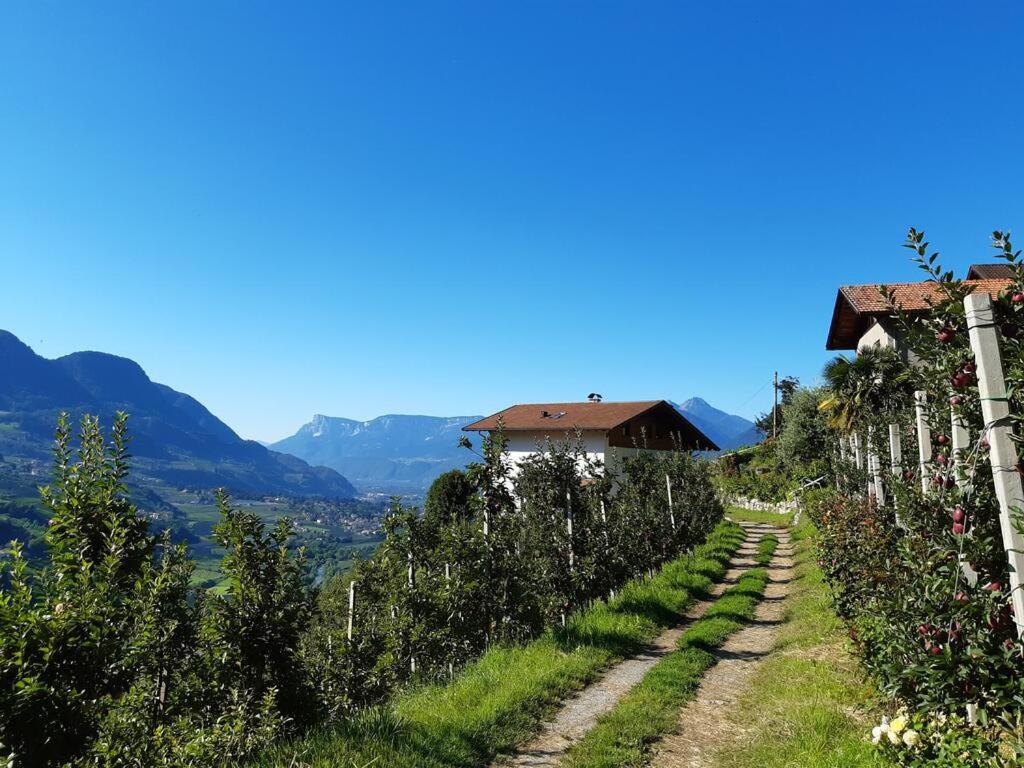 Příroda nedaleko apartmánu