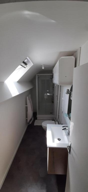 La salle de bains est pourvue d'un lavabo et de toilettes. dans l'établissement La Gâtinaise, à Châtillon-Coligny