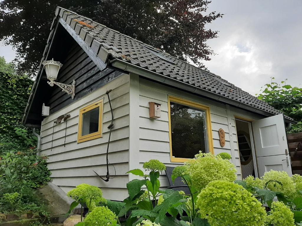 a tiny house with a window and a roof at Thuis bij Elles in Zuilichem