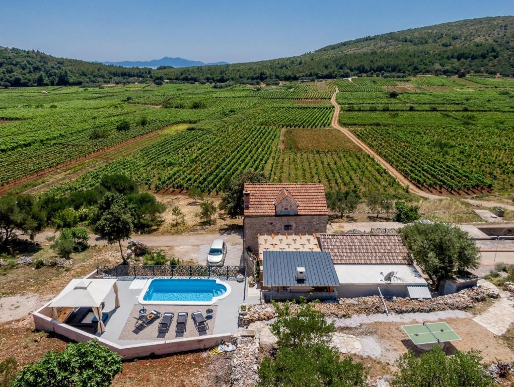 an aerial view of a house in a vineyard at Stone House Prapatna in Smokvica