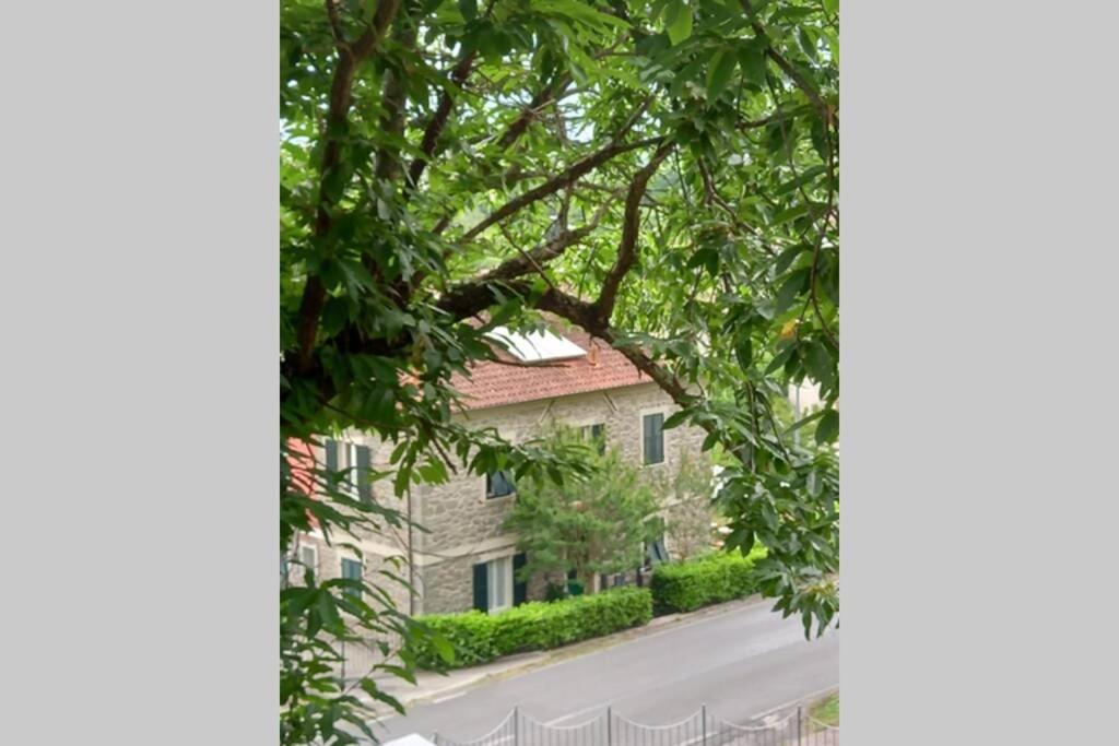 vista su una casa attraverso un albero di La casa del marchese Malaspina a Mulazzo
