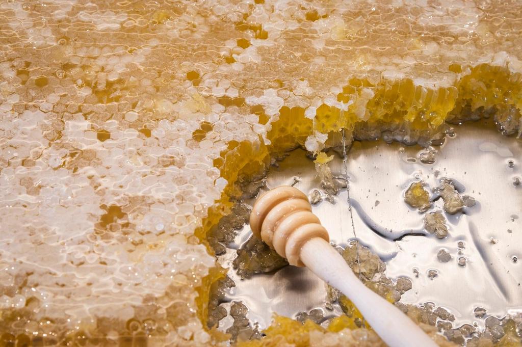 Regency Salgados Hotel & Spa - Resim 23