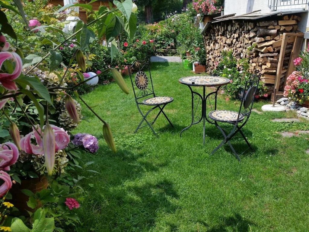 een tuin met twee stoelen en een tafel en wat bloemen bij Ferienwohnung am Berg in Rickenbach