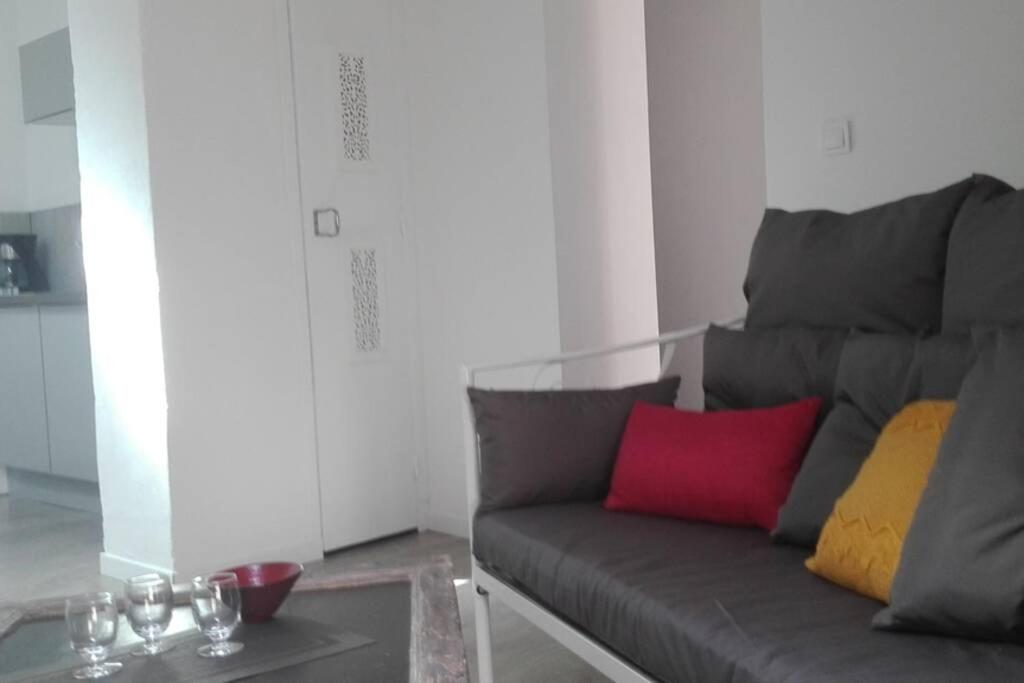 - un salon avec un canapé gris et des oreillers colorés dans l'établissement L'appART'en ciel. Climatisé entre mer et canal, à Villeneuve-lès-Béziers