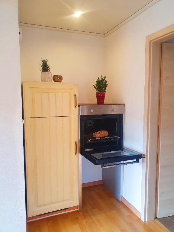 Kuchyň nebo kuchyňský kout v ubytování Ferienwohnung Sonnenblick