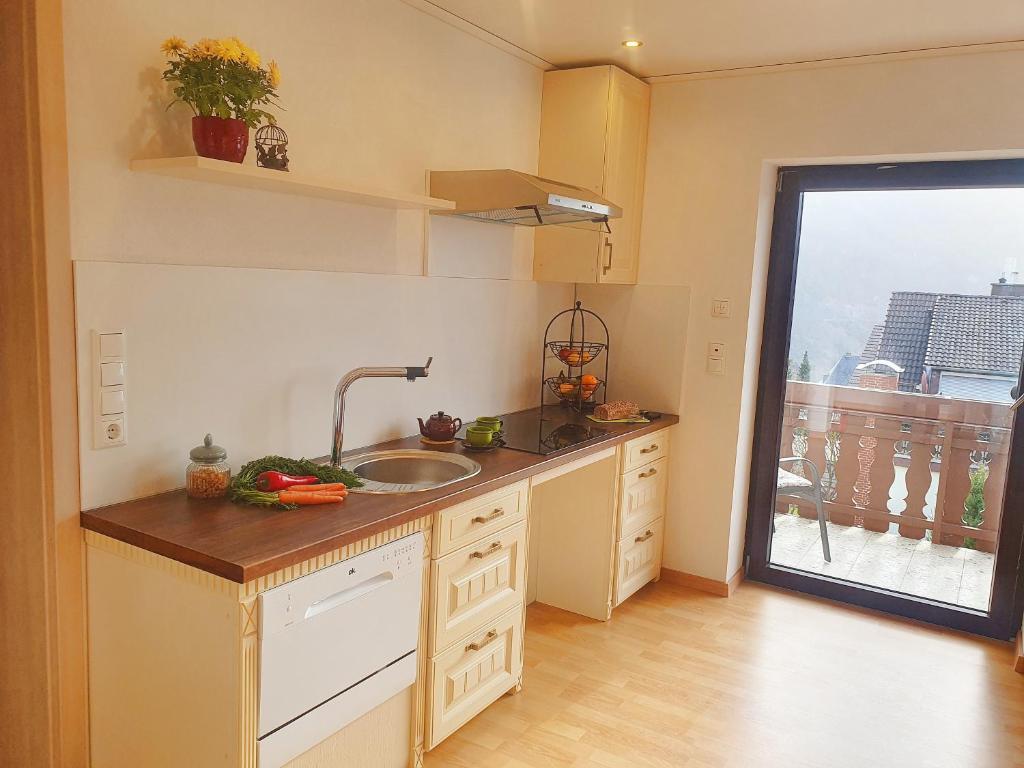 Kuchyň nebo kuchyňský kout v ubytování Ferienwohnung Sonnenblick