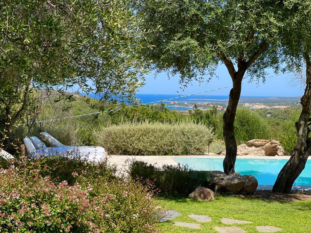 una piscina in un cortile con un albero di Pedra Smeralda a Golfo Aranci