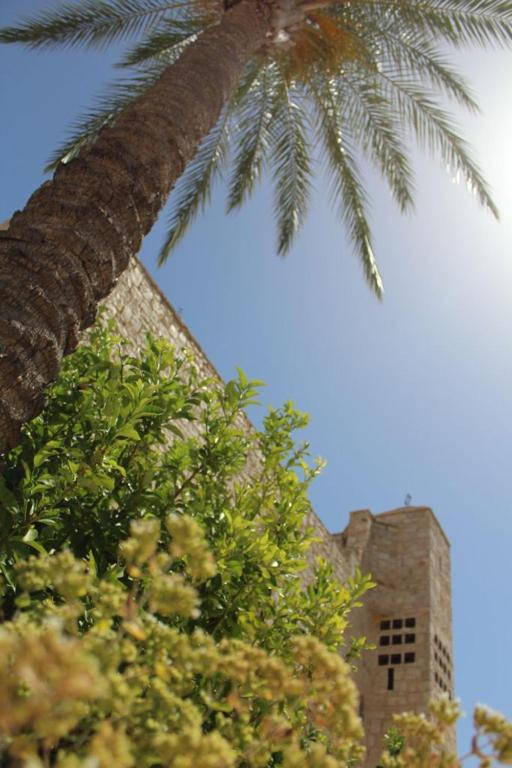 Fotografie z fotogalerie ubytování Hotel Torre Domini v destinaci Giovinazzo