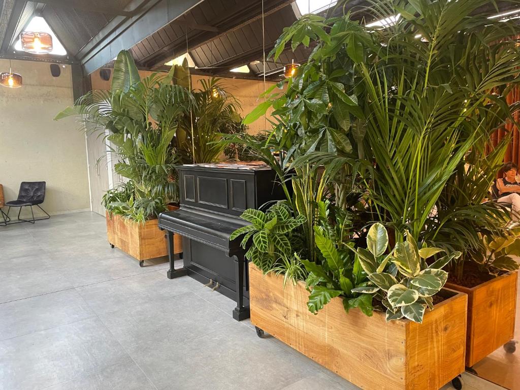 Imagem da galeria de Logis NIMOTEL Hôtel Cosy em Nîmes