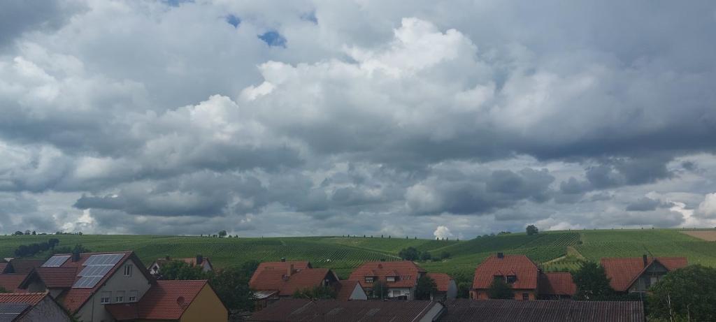 Příroda nedaleko penzionu