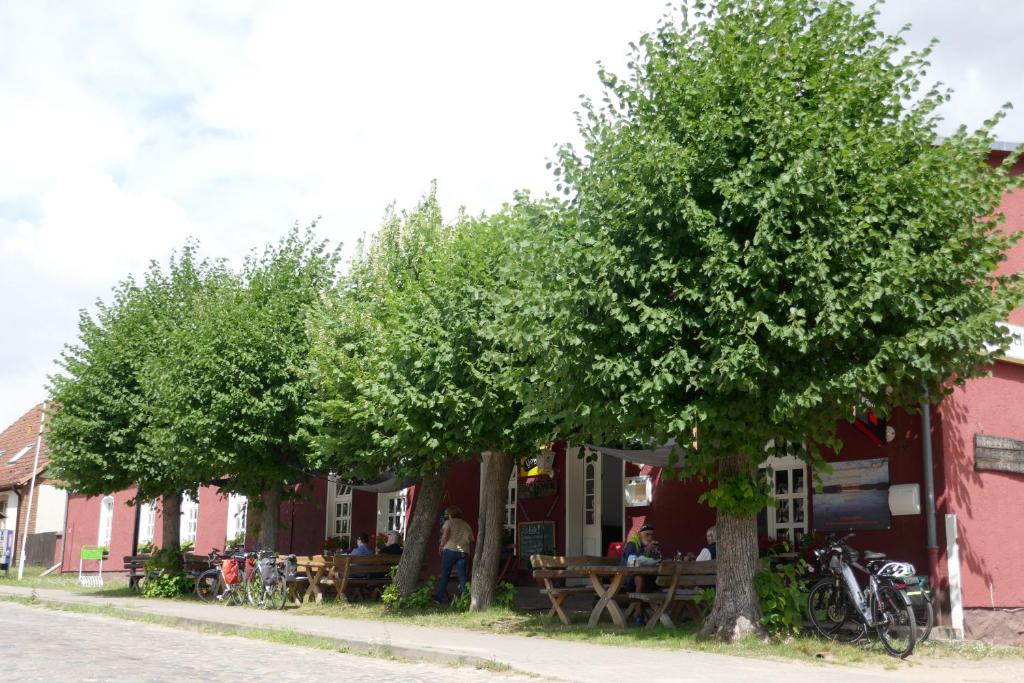 a row of trees in front of a building at Ferienhof am Käbelicksee in Kratzeburg
