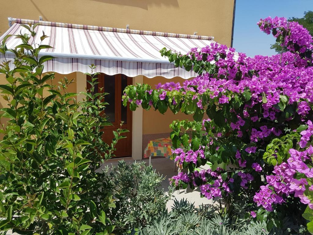 Une bande de fleurs violettes devant un bâtiment dans l'établissement Apartman Mi, à Nerezine