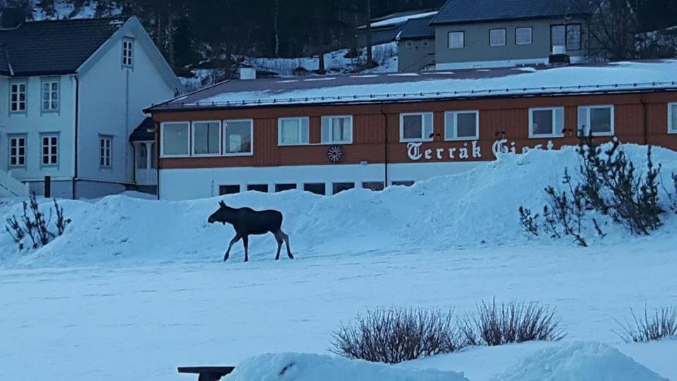 Terråk Gjestegård v zimě