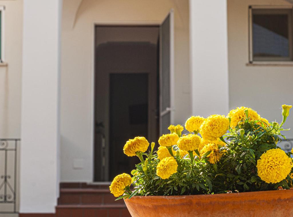 Gallery image of CasaAle in Anacapri