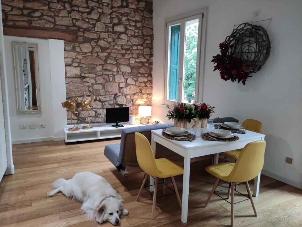 un chien blanc pondant sur le sol à côté d'une table dans l'établissement Appartamento grazioso in palazzina del 900: Verona, à Vérone
