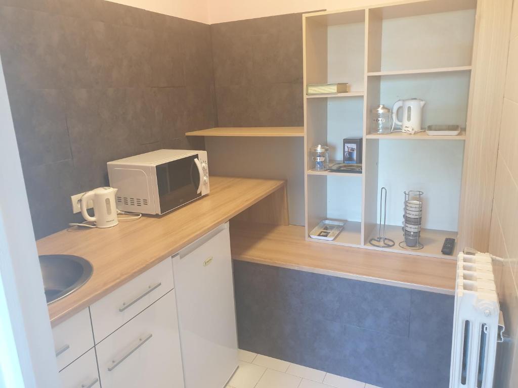 Kuchyň nebo kuchyňský kout v ubytování Horus Hôtel