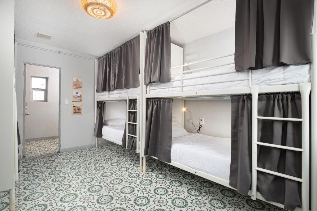 two bunk beds in a room with a carpet at Bungalows Hostel in Las Vegas