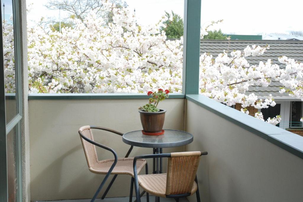 Central Park Motor Lodge - Resim 20