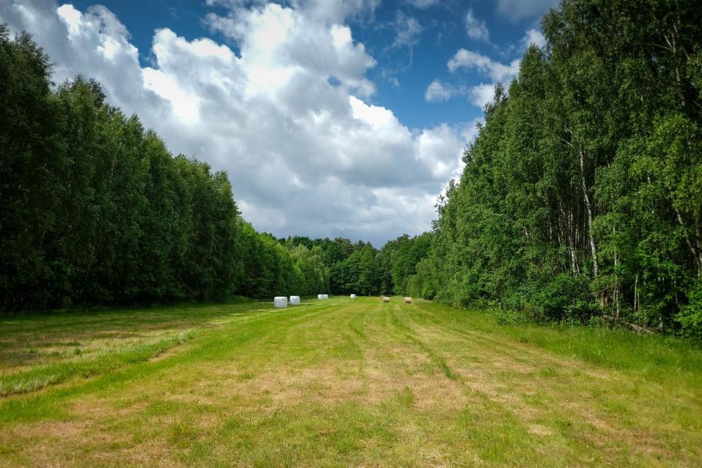 Příroda nedaleko luxury tent