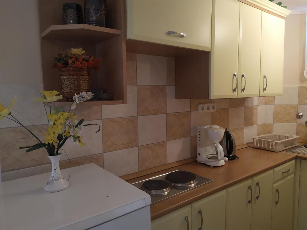 A kitchen or kitchenette at Ildiko Appertements