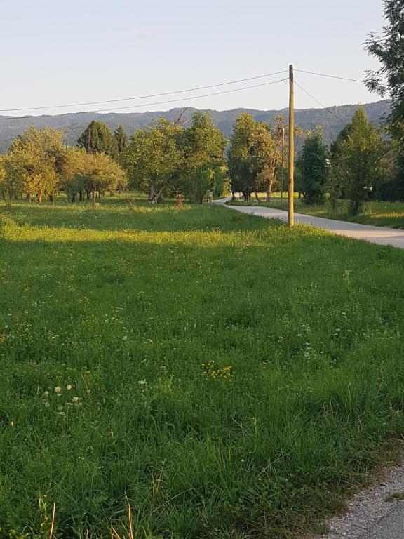 Příroda nedaleko apartmánu
