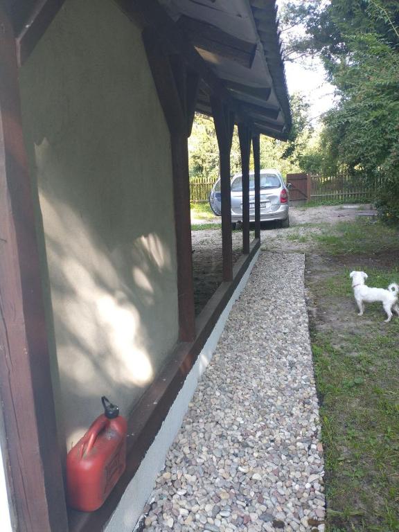 Fotografia z galérie ubytovania Chabrowa Chatka v destinácii Supraśl