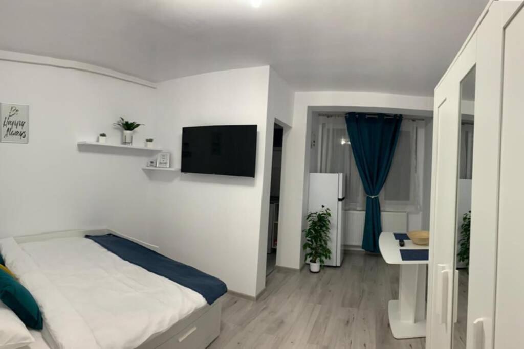 Cozy Studio Apartament Zalau - Apartamento De Una Habitación