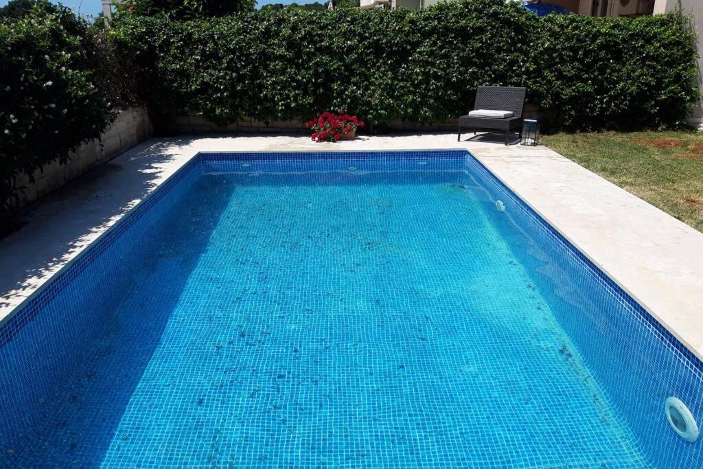 a blue swimming pool with a chair in a yard at For Families Only - Casa Nora Novigrad in Novigrad Istria