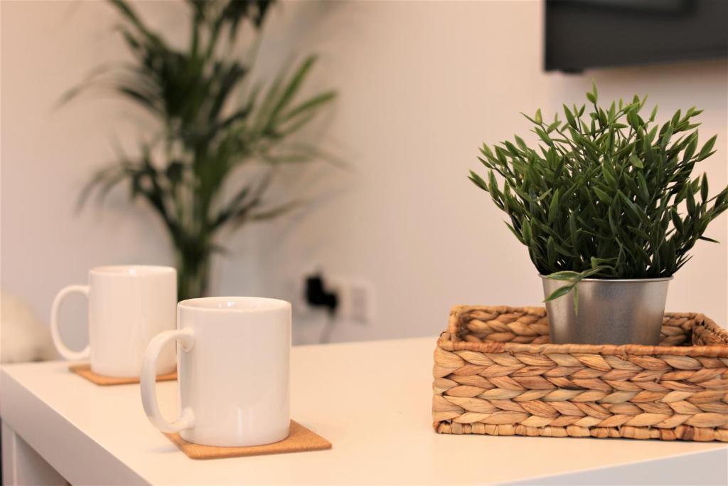 Thesiger Court Apartments - Free Private Parking - by Property Promise - 两居室公寓