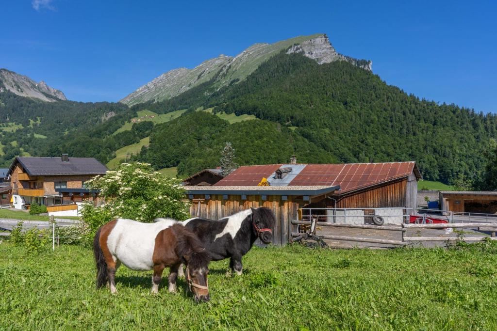 Fotografia z galérie ubytovania Ferienbauernhof Berlinger v destinácii Au im Bregenzerwald