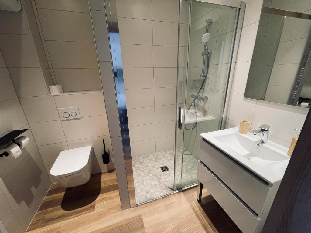 a bathroom with a toilet and a sink and a shower at Studio Balnéothérapie in Wintzenheim