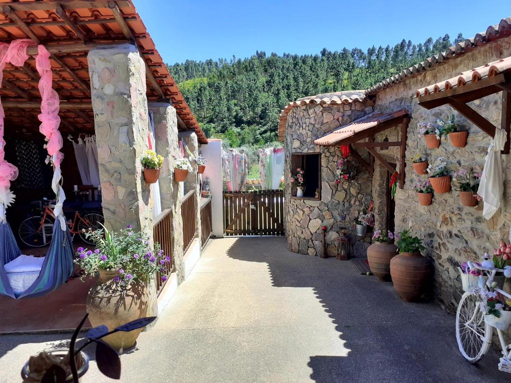 um pátio de uma casa com vasos de plantas em Casa do Trapo em Abrantes