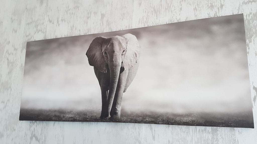 Una foto en blanco y negro de un elefante parado en la tierra en Casa Magnolia, en 23 August